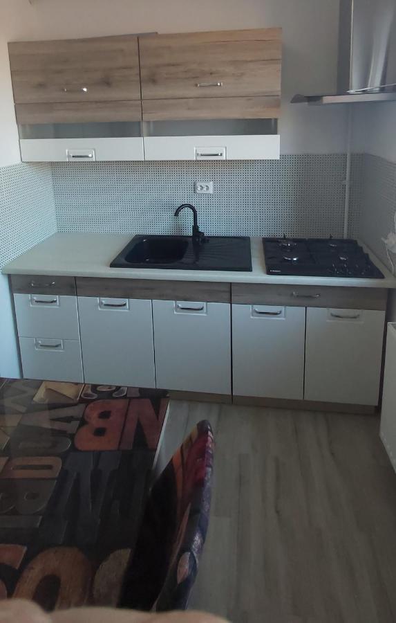 Appartement Studio Elisa à Caransebeş Extérieur photo